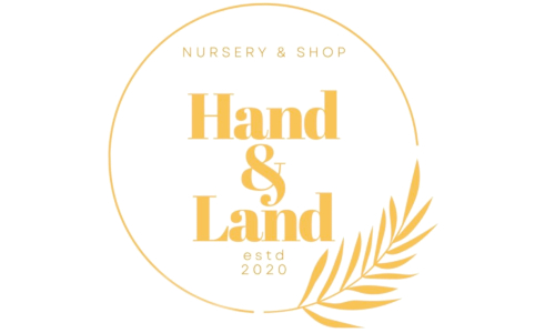 Website Logo